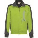 color:kiwi